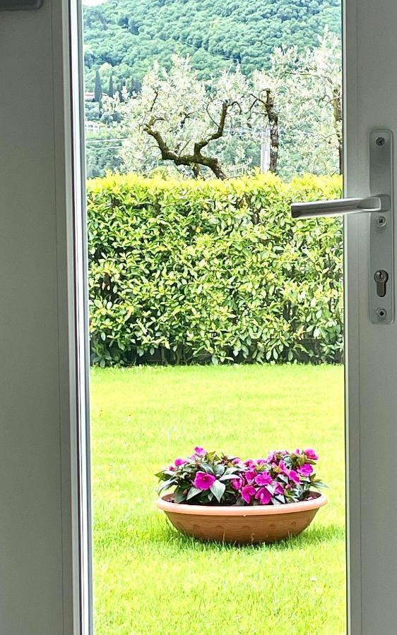 Guest Martilla Luxury & Garden Εξωτερικό φωτογραφία